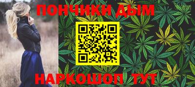 2c-b Кингисепп
