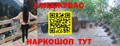 2c-b Кингисепп