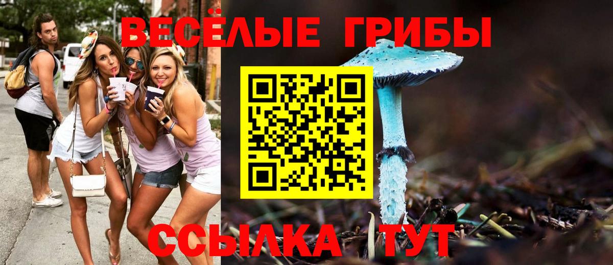Галлюциногенные грибы ЛСД  Вход с VPN  Кубинка 